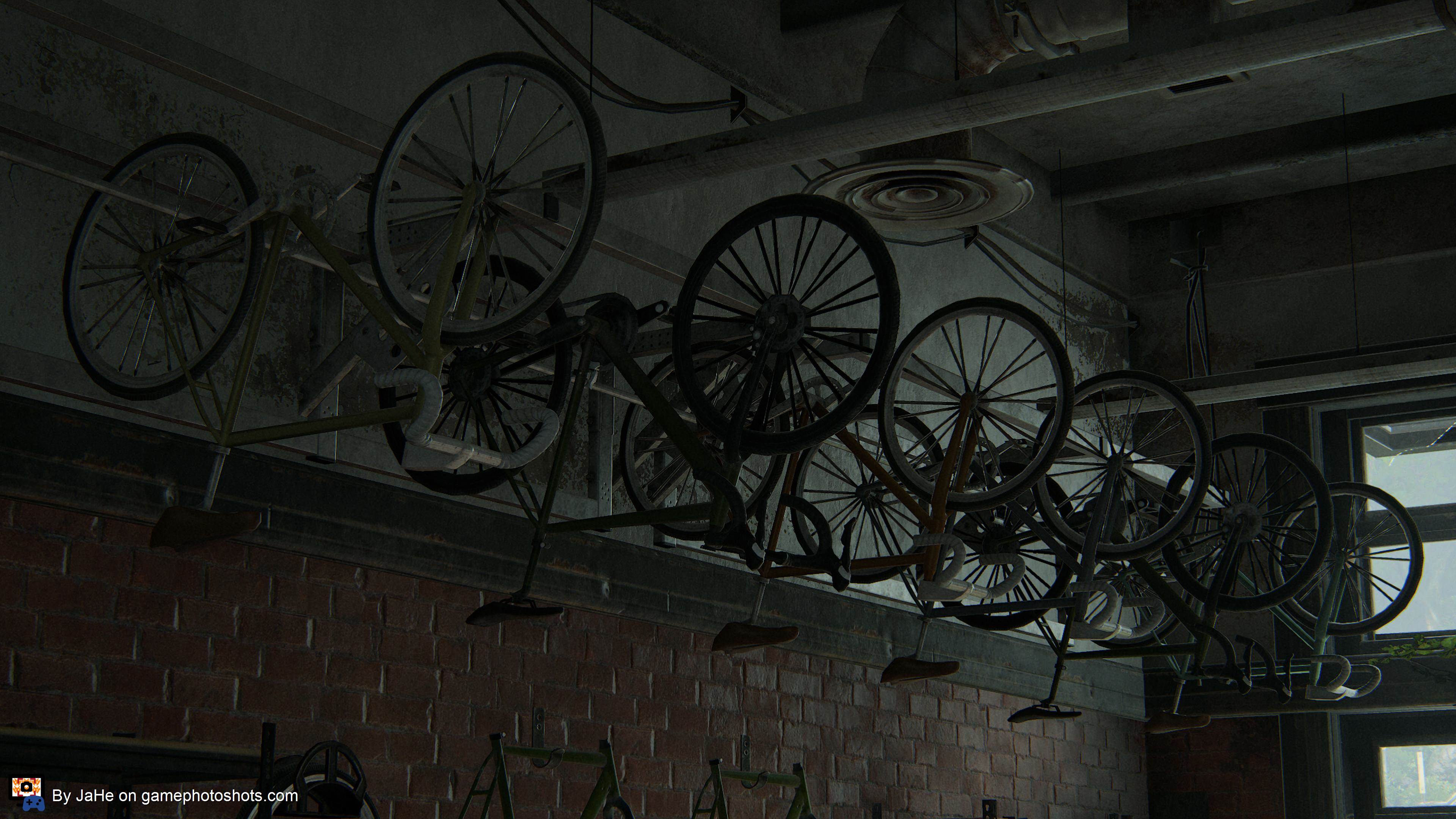 Abandoned bicycle shop