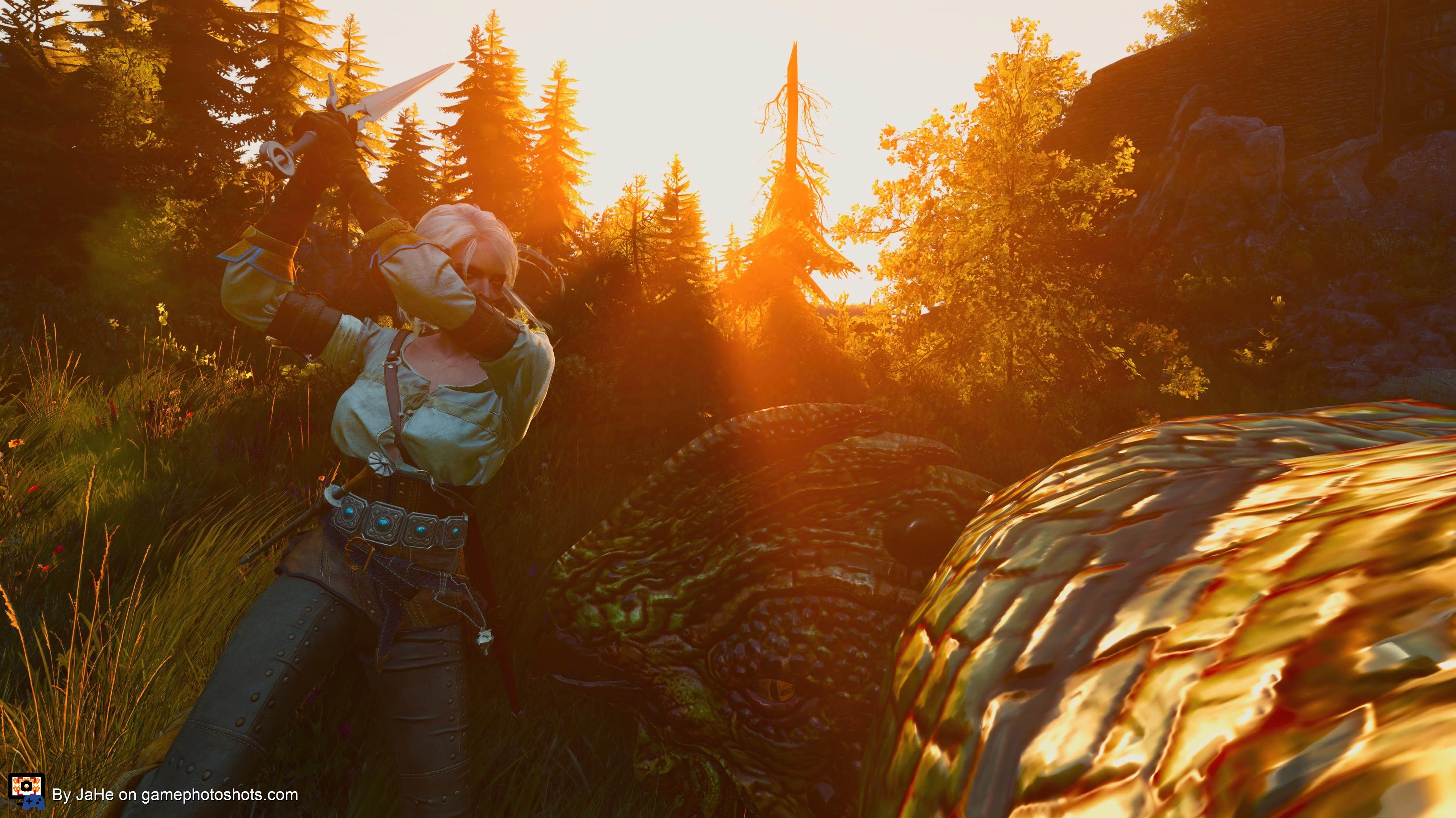 Ciri fighting a Basilisk