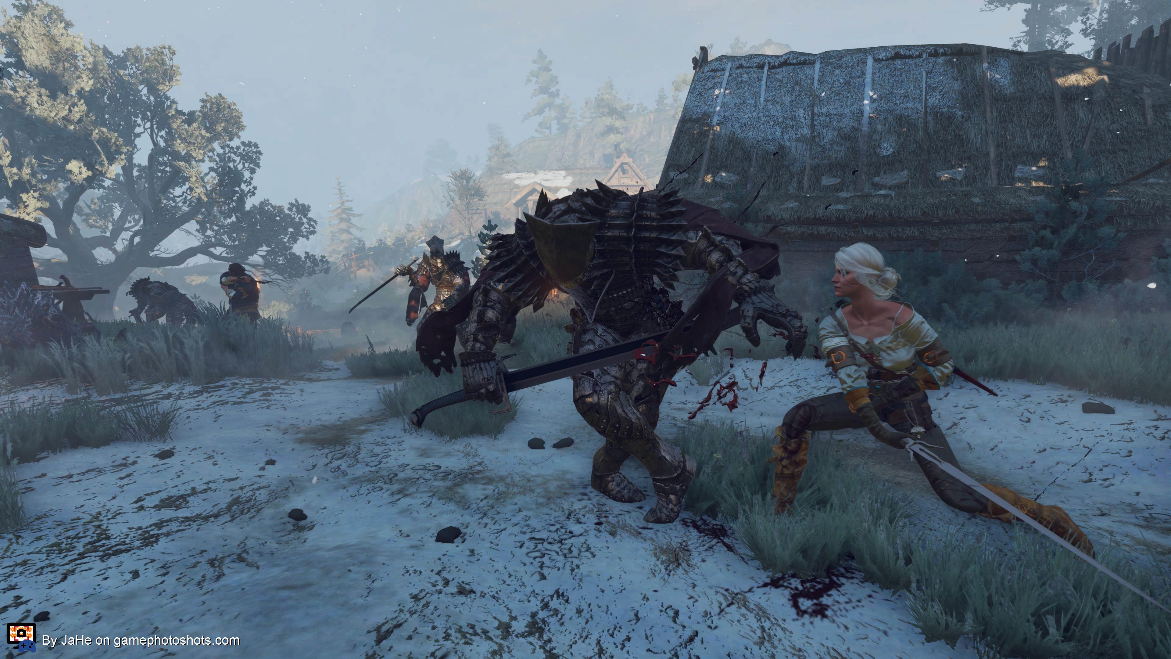 Ciri fighting the wild hunt