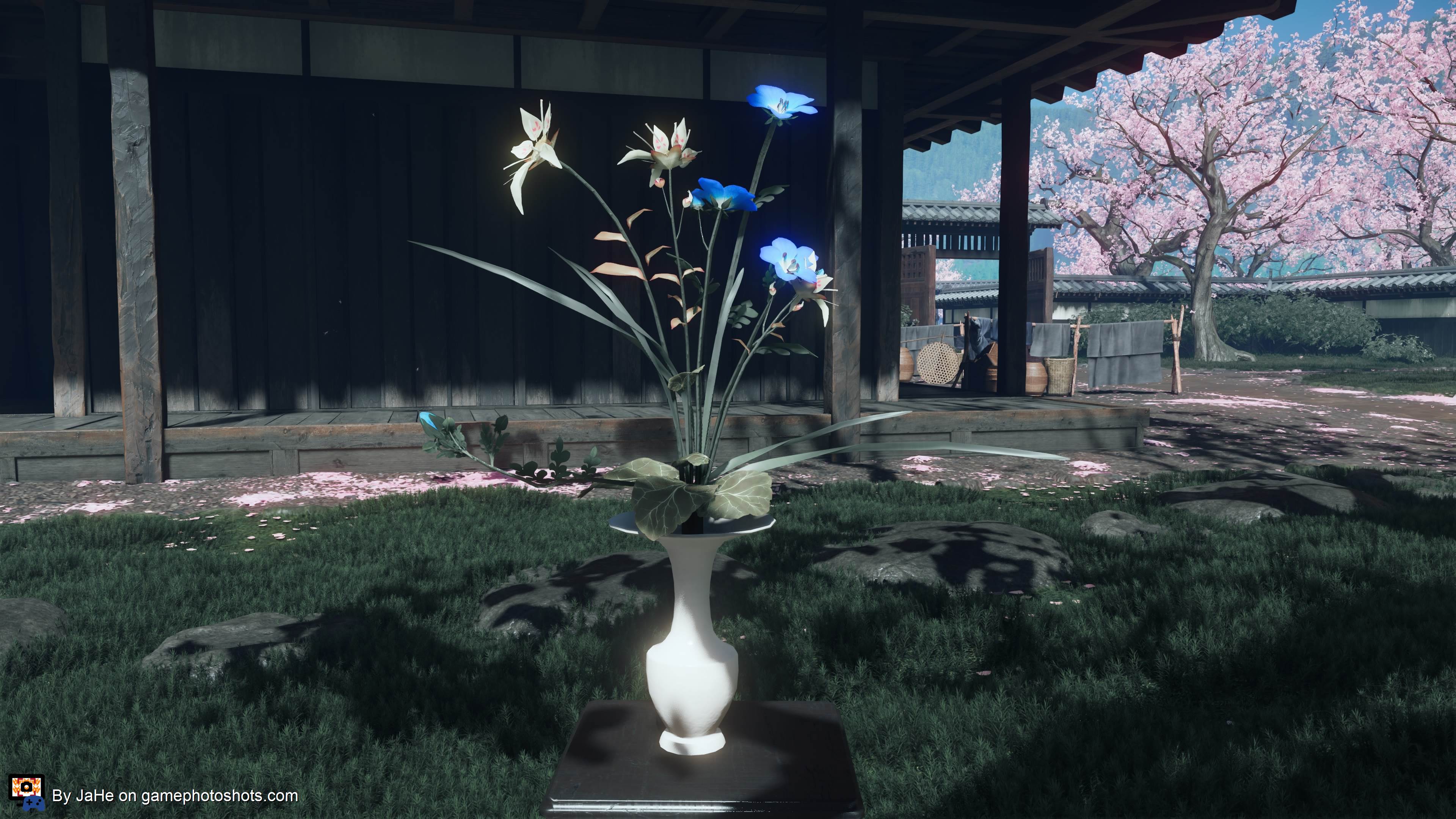 Flowers of hope and patience