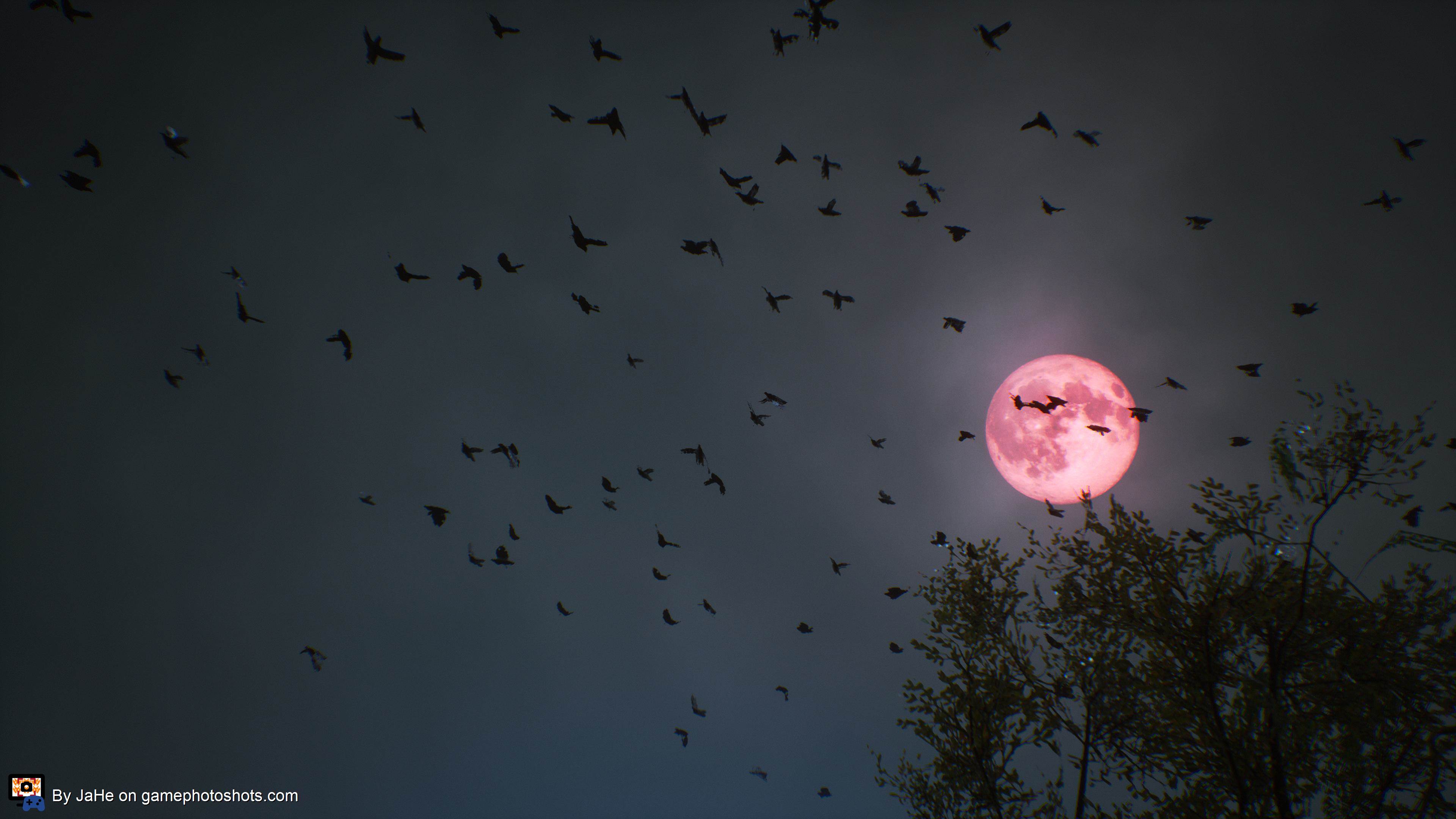 Full red moon in Tokyo