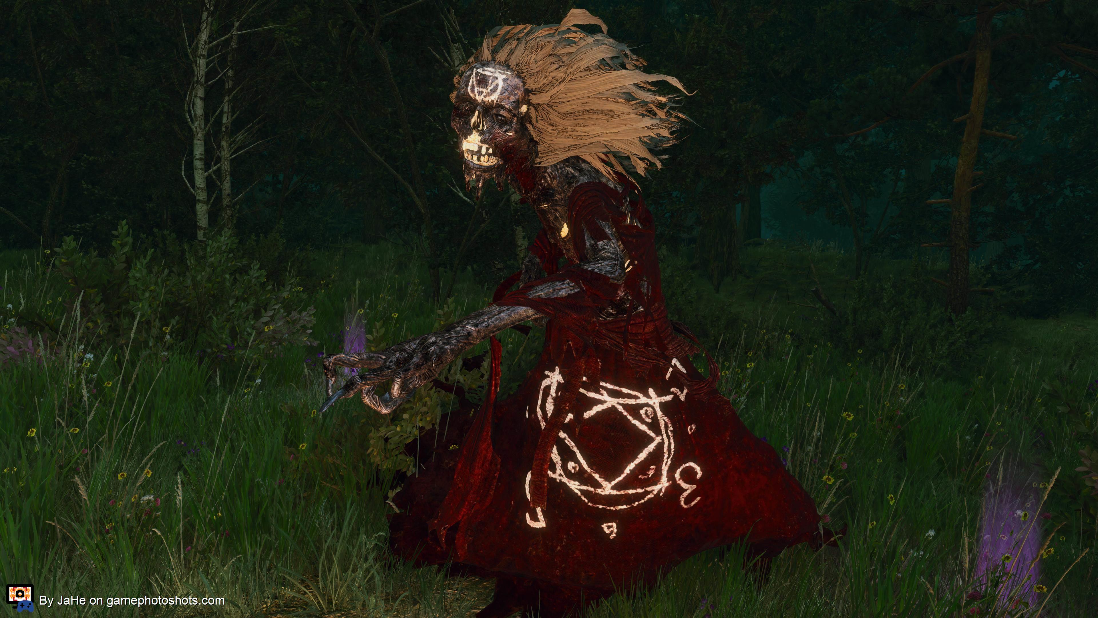 Jenny O the woods