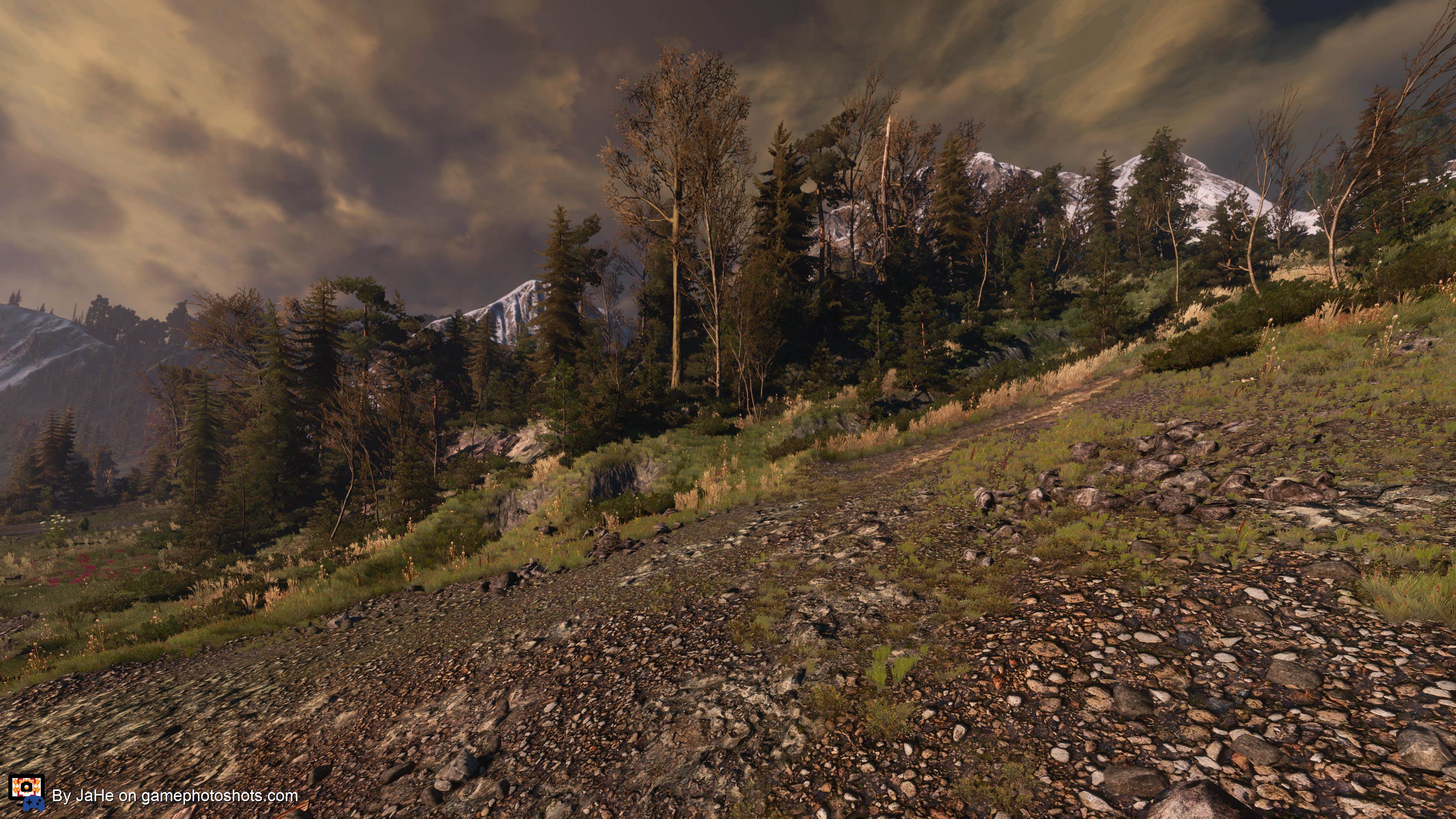 Love the Skellige landscape