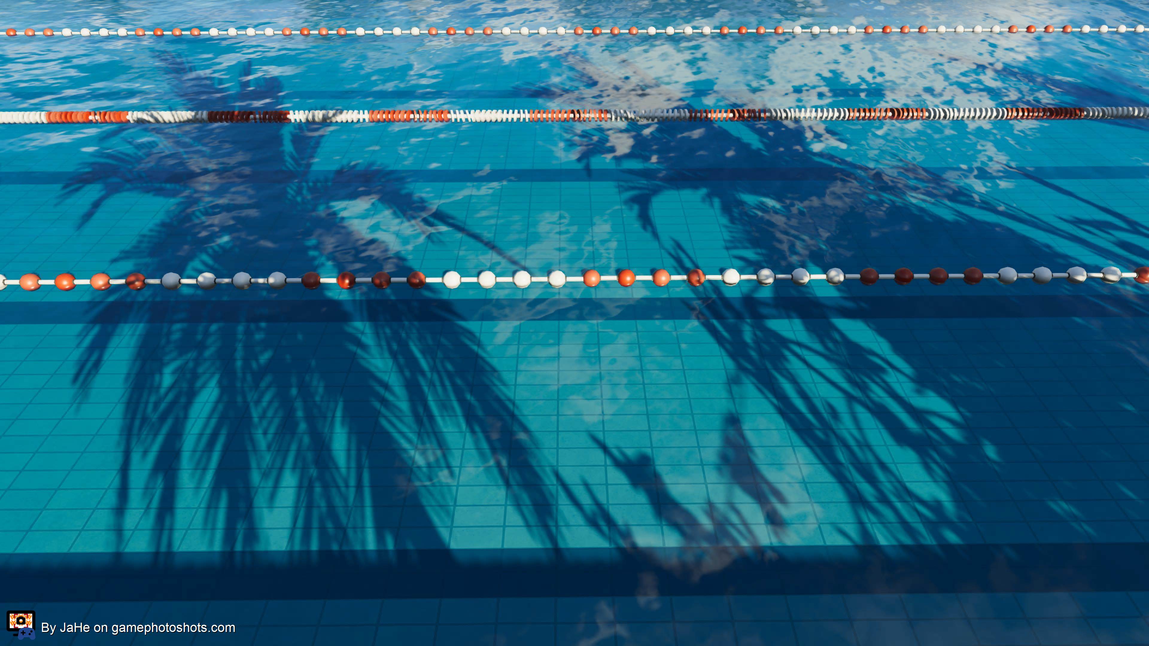 Palmtrees at the pool