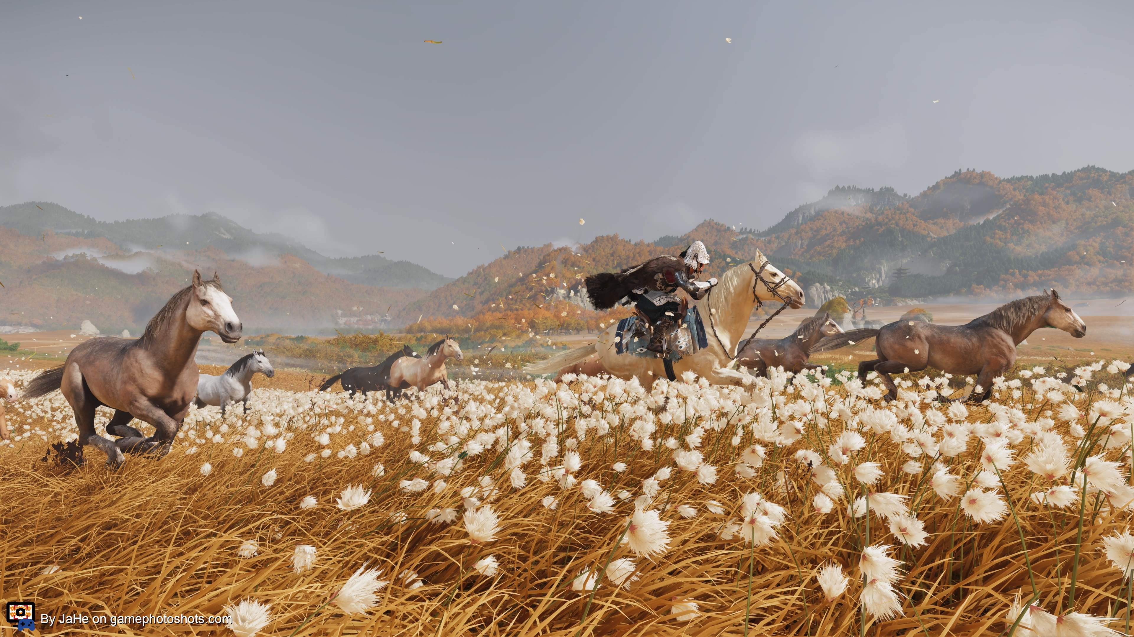 Riding with wild horses