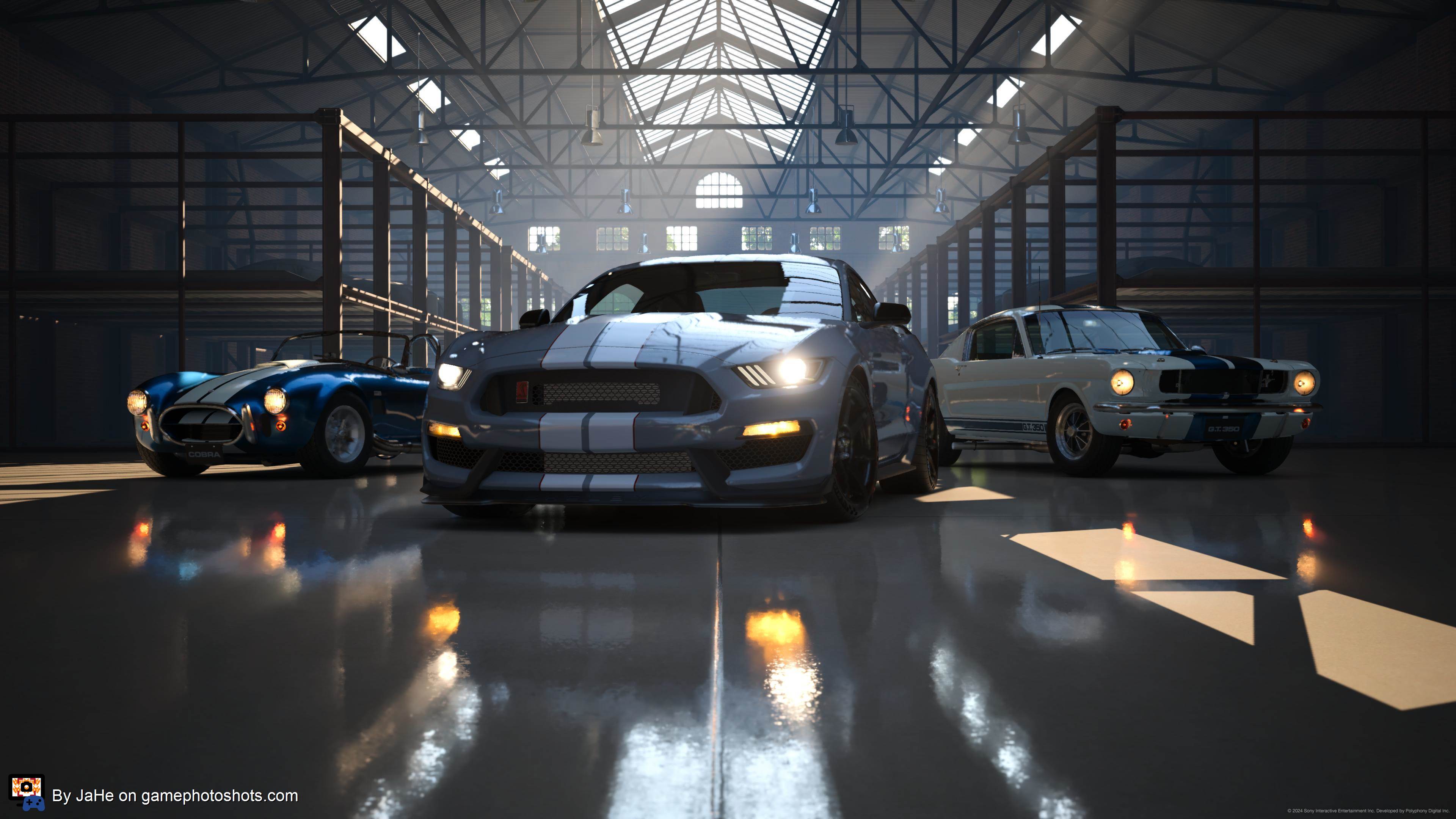 Shelby collection