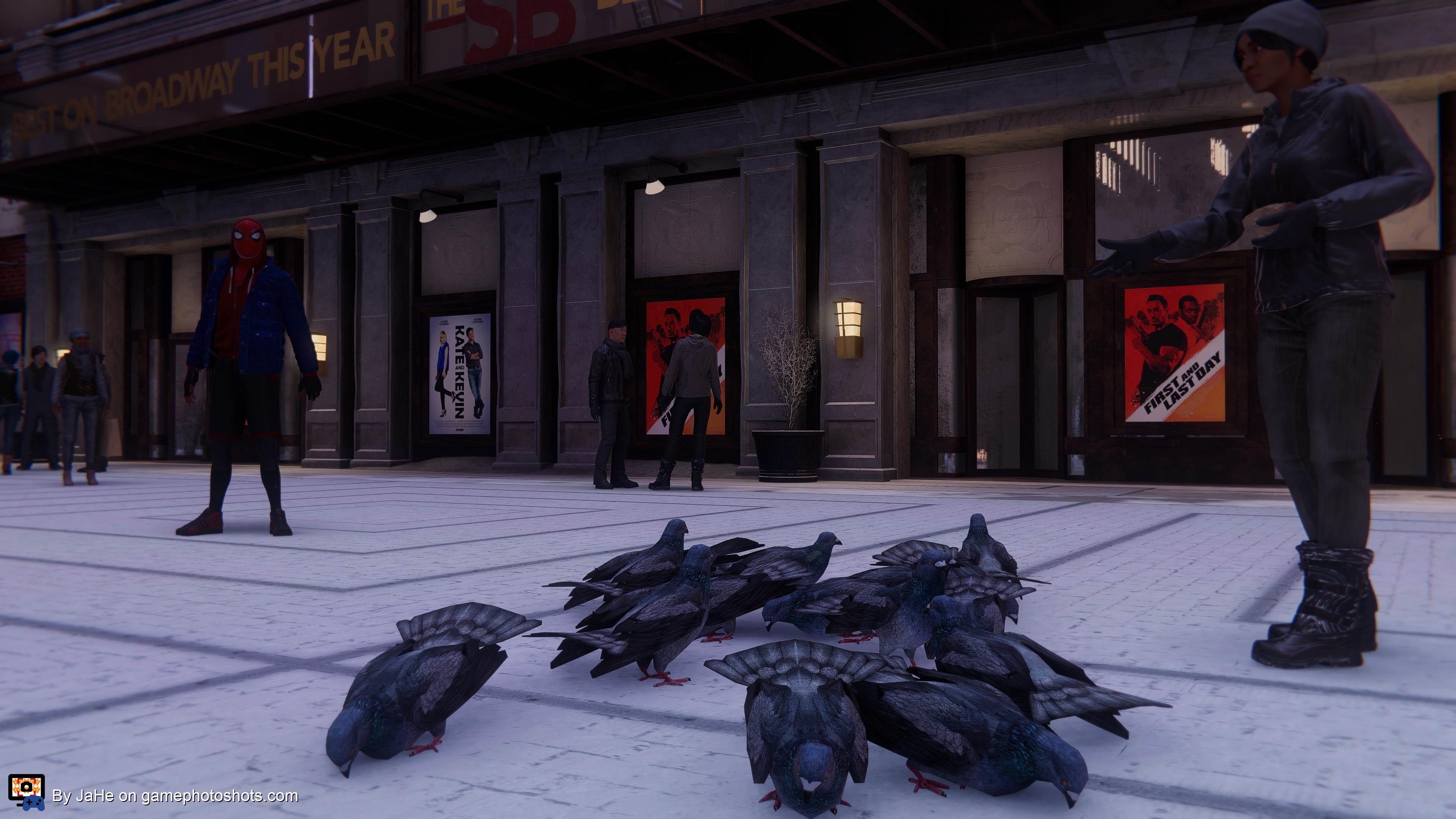 Woman is feeding the pigeons