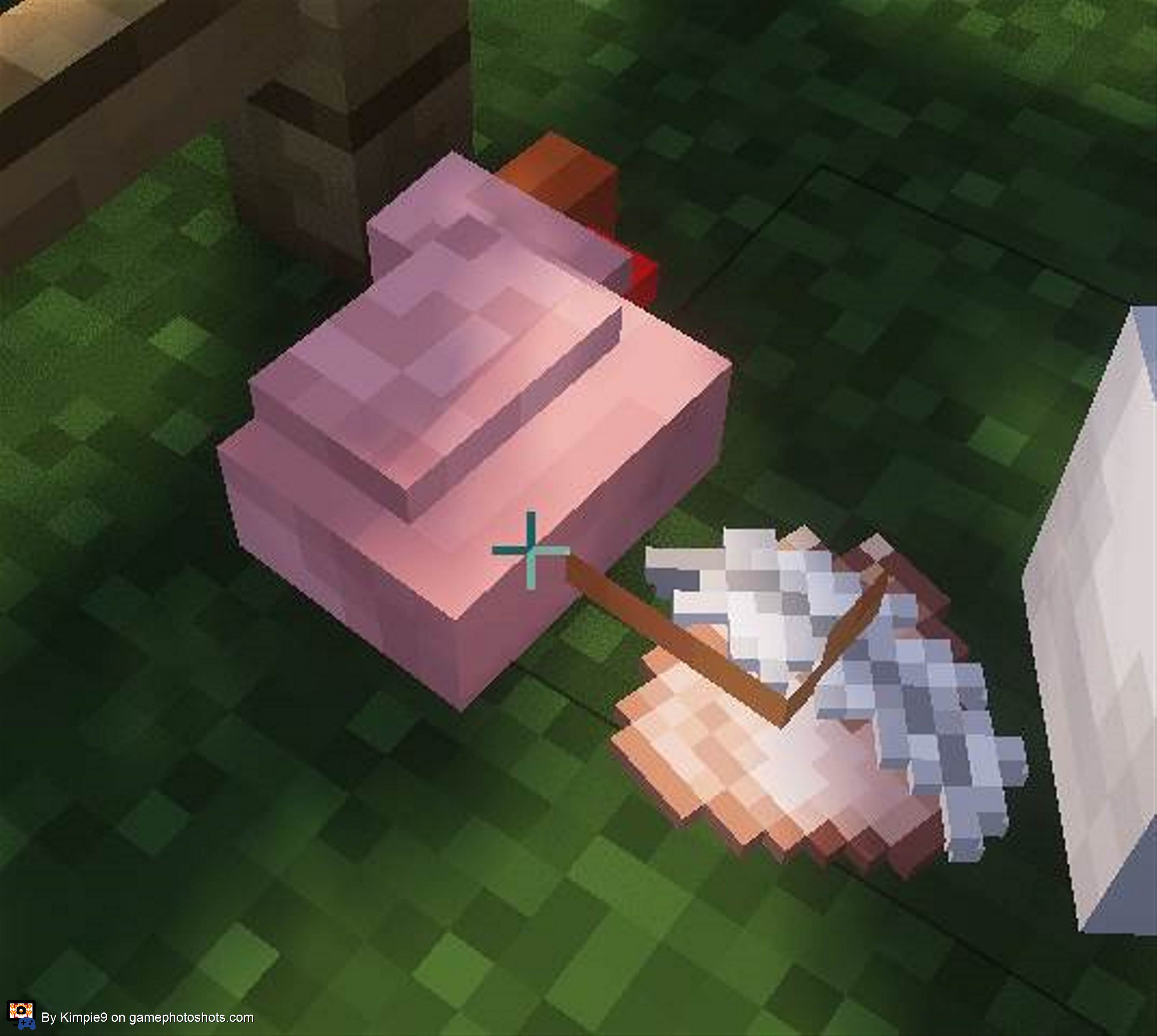 Rest in peace Chicken in Minecraft